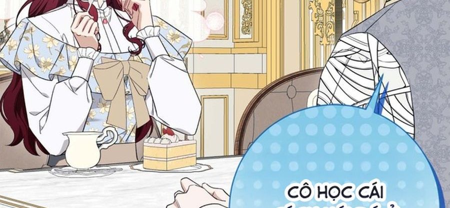 Không Phải Câu Chuyện Chuyển Sinh Thông Thường Chap 37 - Next Chap 36