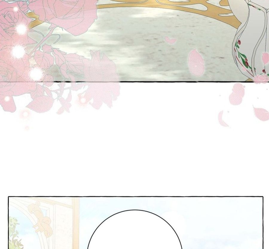 Không Phải Câu Chuyện Chuyển Sinh Thông Thường Chap 37 - Next Chap 36