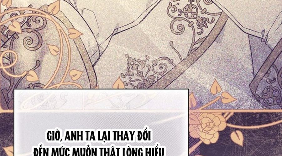 Không Phải Câu Chuyện Chuyển Sinh Thông Thường Chap 37 - Next Chap 36