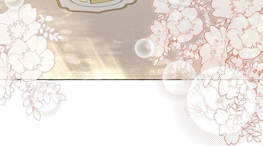 Không Phải Câu Chuyện Chuyển Sinh Thông Thường Chap 38 - Next Chap 37