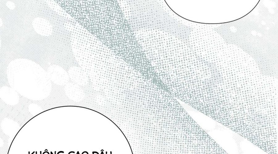 Không Phải Câu Chuyện Chuyển Sinh Thông Thường Chap 38 - Next Chap 37