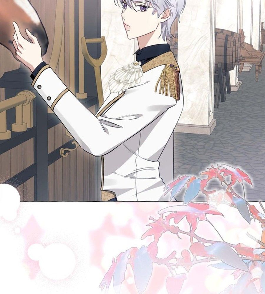 Không Phải Câu Chuyện Chuyển Sinh Thông Thường Chap 40 - Next Chap 39