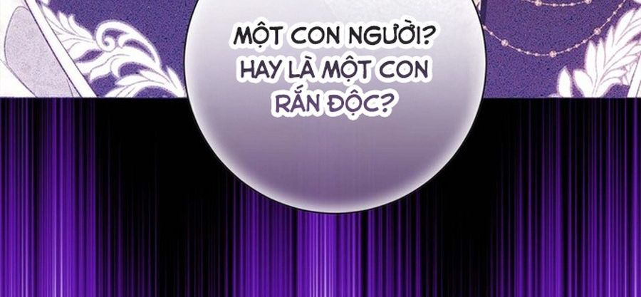 Không Phải Câu Chuyện Chuyển Sinh Thông Thường Chap 40 - Next Chap 39