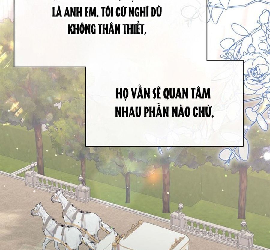 Không Phải Câu Chuyện Chuyển Sinh Thông Thường Chap 40 - Next Chap 39
