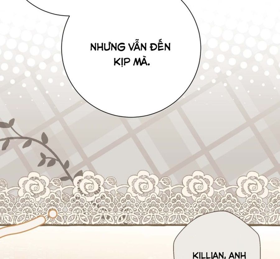 Không Phải Câu Chuyện Chuyển Sinh Thông Thường Chap 41 - Next Chap 40