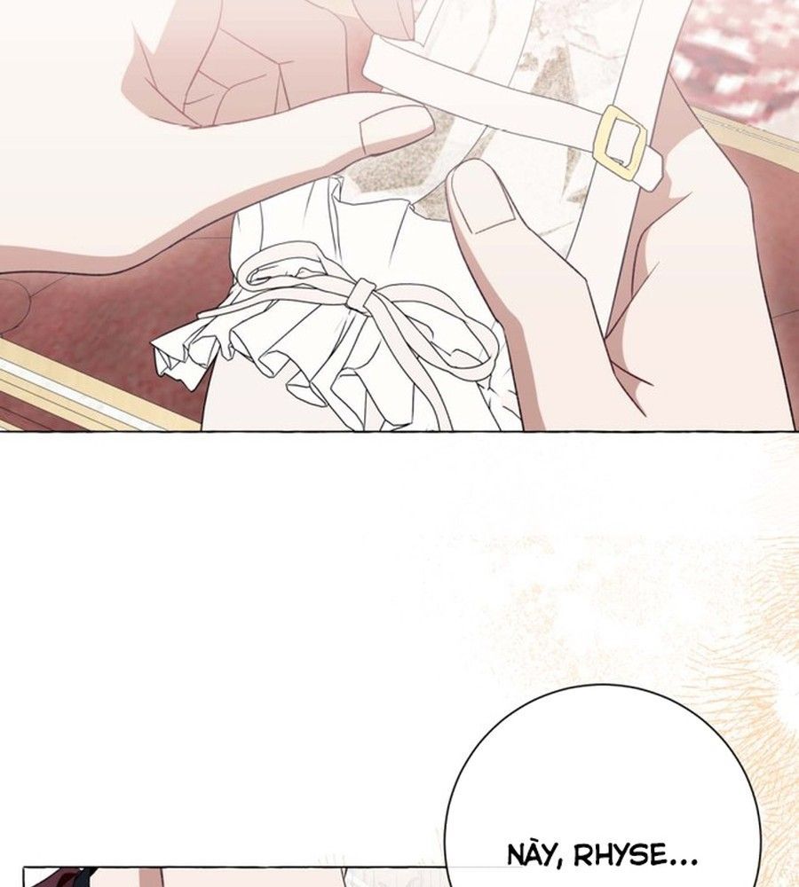 Không Phải Câu Chuyện Chuyển Sinh Thông Thường Chap 41 - Next Chap 40