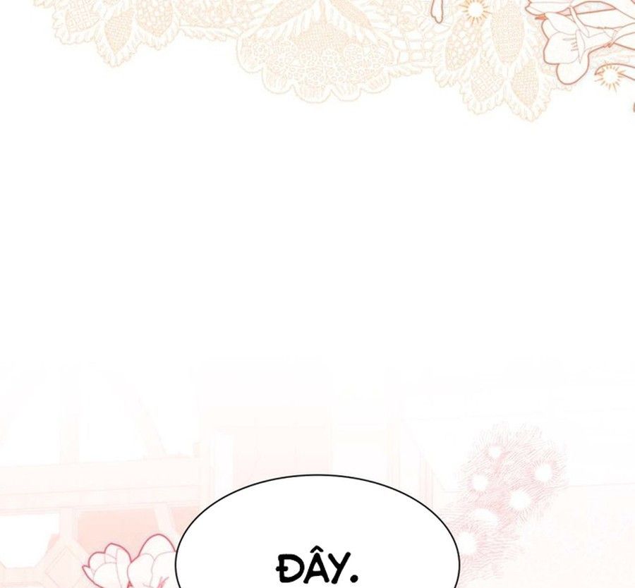 Không Phải Câu Chuyện Chuyển Sinh Thông Thường Chap 41 - Next Chap 40