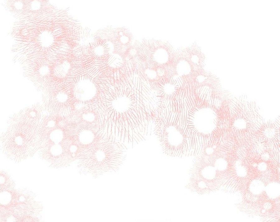 Không Phải Câu Chuyện Chuyển Sinh Thông Thường Chap 41 - Next Chap 40