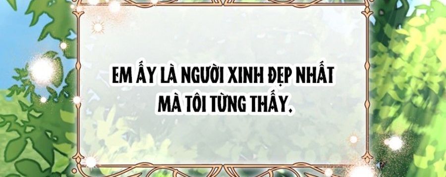 Không Phải Câu Chuyện Chuyển Sinh Thông Thường Chap 41 - Next Chap 40
