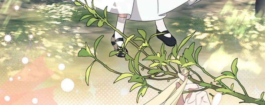 Không Phải Câu Chuyện Chuyển Sinh Thông Thường Chap 41 - Next Chap 40