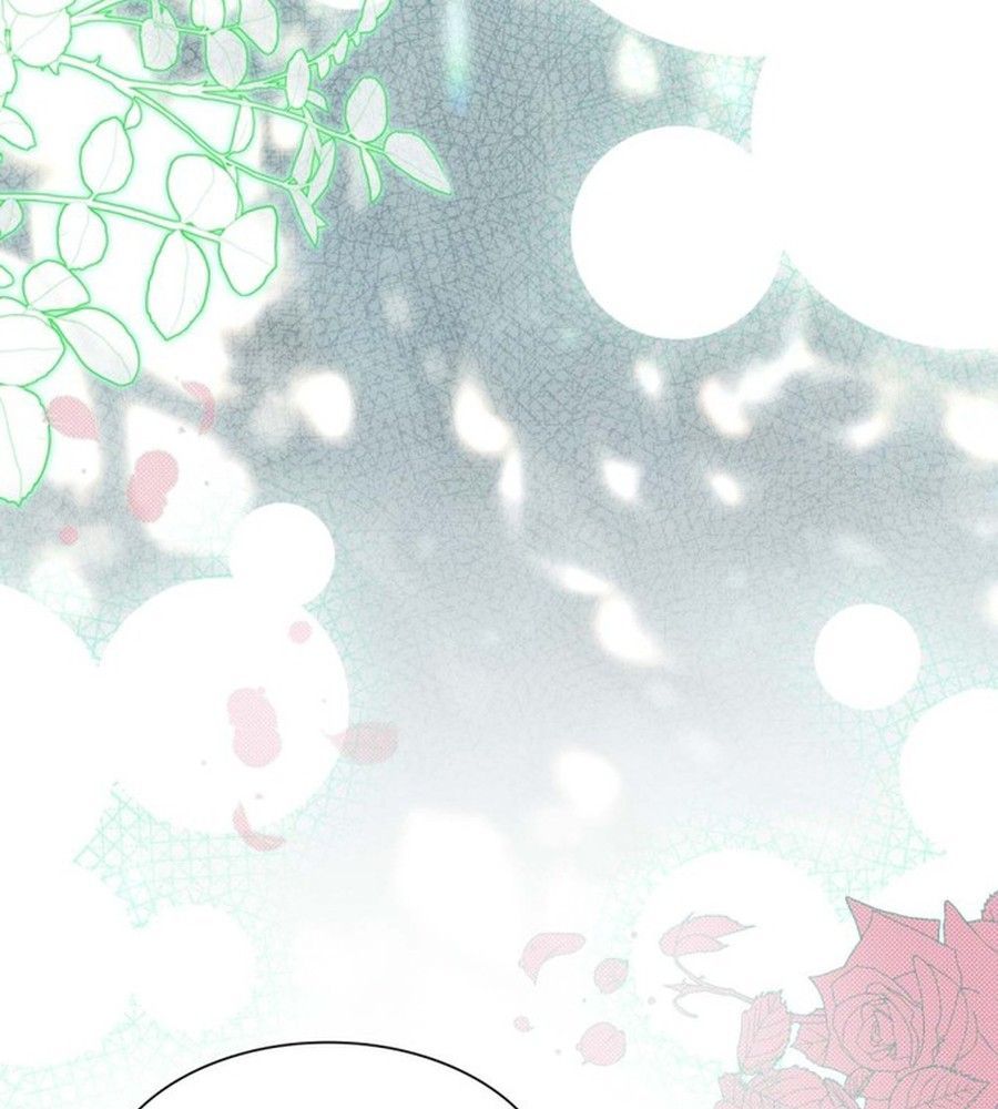 Không Phải Câu Chuyện Chuyển Sinh Thông Thường Chap 41 - Next Chap 40