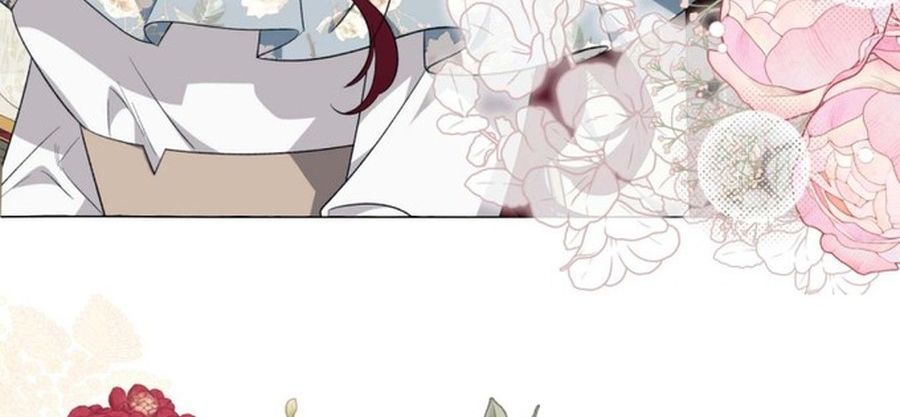 Không Phải Câu Chuyện Chuyển Sinh Thông Thường Chap 42 - Next Chap 41