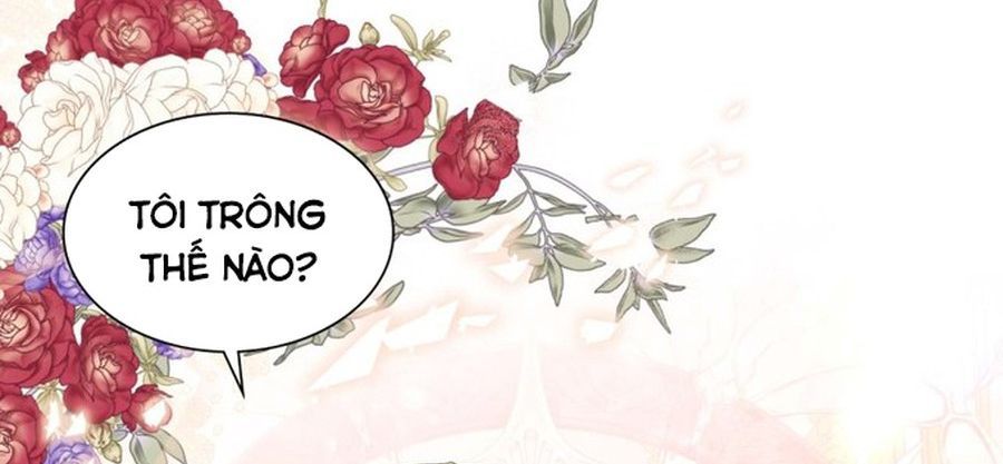 Không Phải Câu Chuyện Chuyển Sinh Thông Thường Chap 42 - Next Chap 41