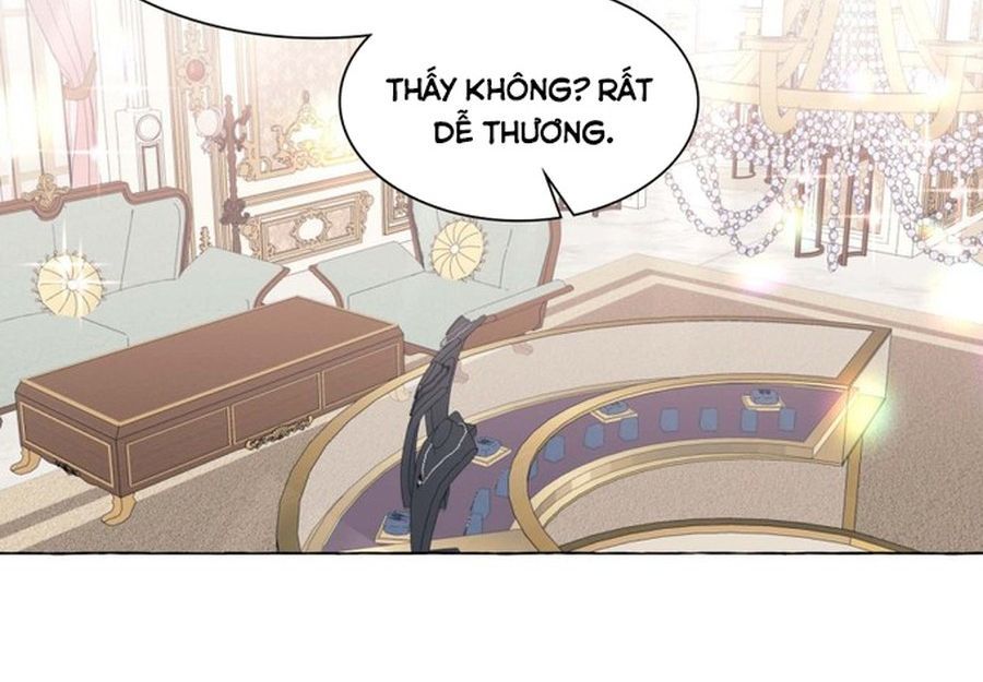 Không Phải Câu Chuyện Chuyển Sinh Thông Thường Chap 42 - Next Chap 41