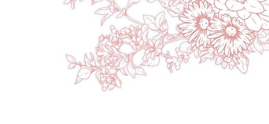 Không Phải Câu Chuyện Chuyển Sinh Thông Thường Chap 42 - Next Chap 41