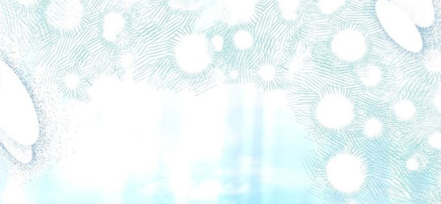 Không Phải Câu Chuyện Chuyển Sinh Thông Thường Chap 43 - Next Chap 42