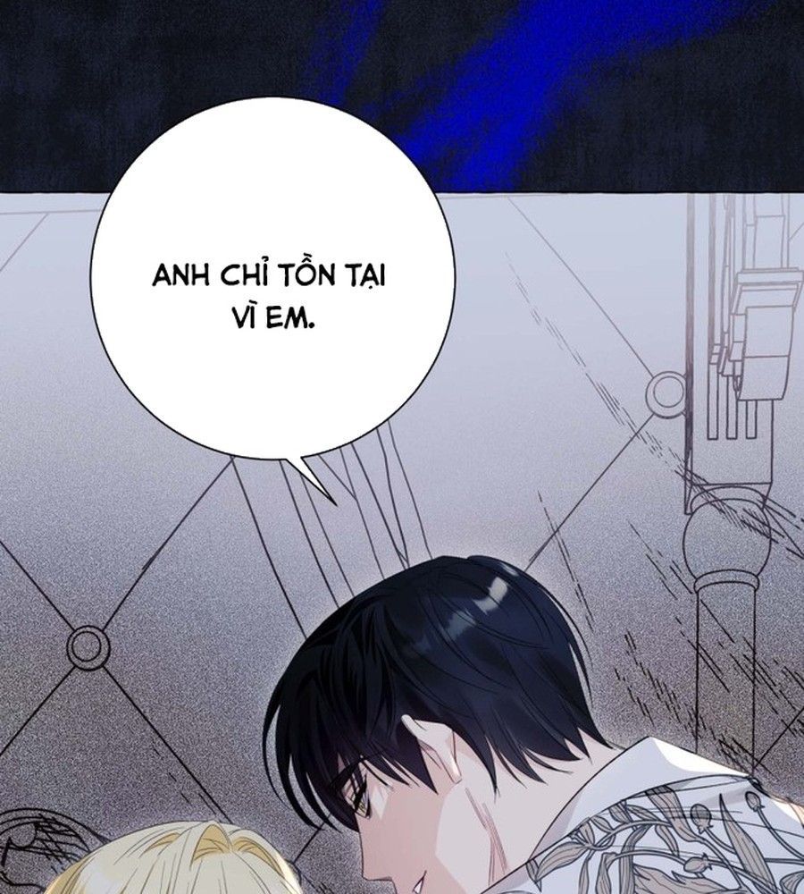 Không Phải Câu Chuyện Chuyển Sinh Thông Thường Chap 43 - Next Chap 42