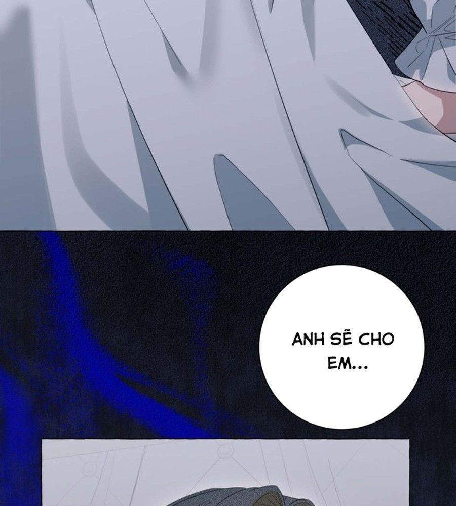 Không Phải Câu Chuyện Chuyển Sinh Thông Thường Chap 43 - Next Chap 42