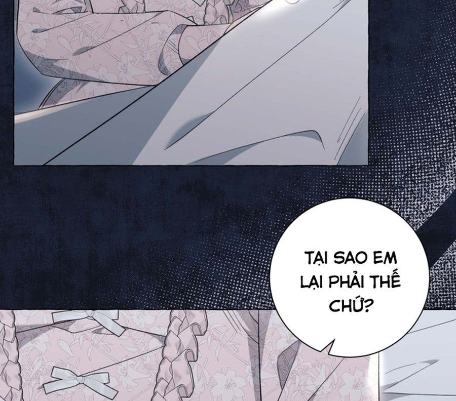 Không Phải Câu Chuyện Chuyển Sinh Thông Thường Chap 43 - Next Chap 42