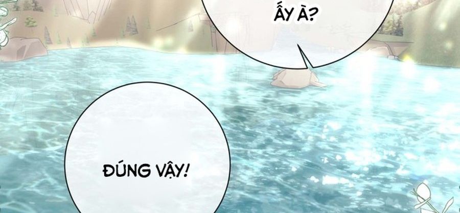 Không Phải Câu Chuyện Chuyển Sinh Thông Thường Chap 43 - Next Chap 42