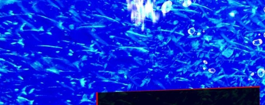 Không Phải Câu Chuyện Chuyển Sinh Thông Thường Chap 44 - Next Chap 43