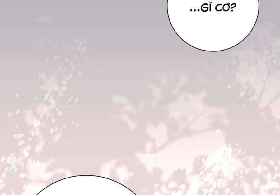 Không Phải Câu Chuyện Chuyển Sinh Thông Thường Chap 45 - Next Chap 44