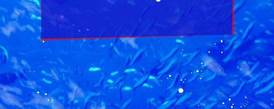 Không Phải Câu Chuyện Chuyển Sinh Thông Thường Chap 45 - Next Chap 44