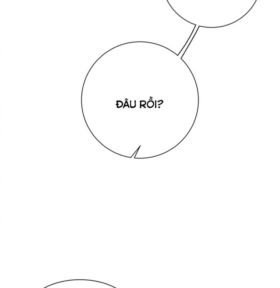 Không Phải Câu Chuyện Chuyển Sinh Thông Thường Chap 45 - Next Chap 44