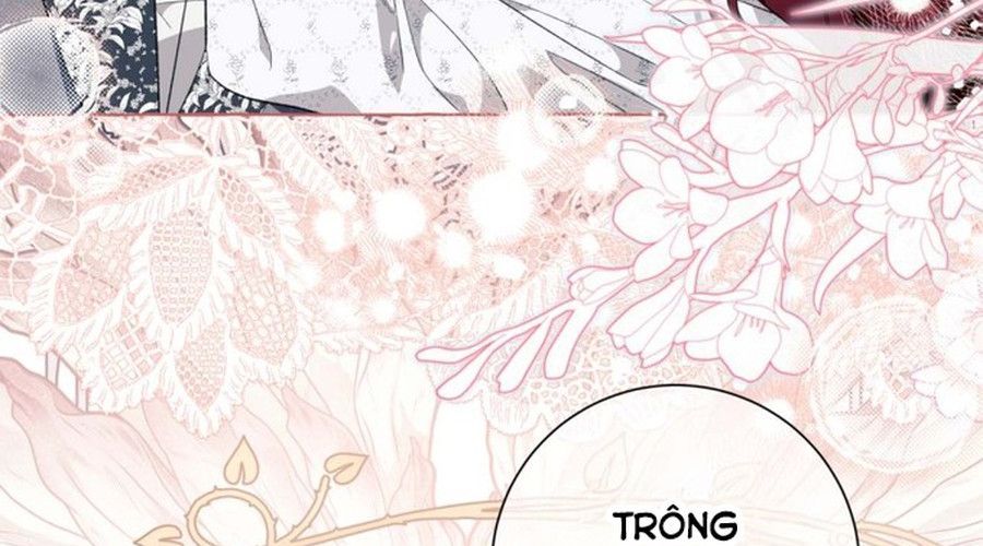 Không Phải Câu Chuyện Chuyển Sinh Thông Thường Chap 47 - Next Chap 46