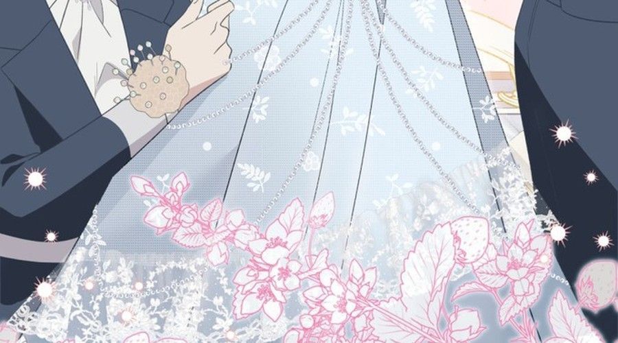 Không Phải Câu Chuyện Chuyển Sinh Thông Thường Chap 48 - Next Chap 47