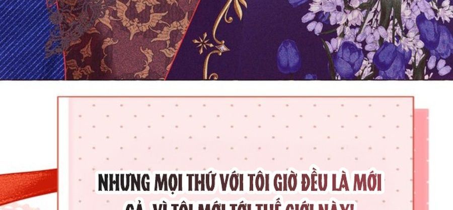 Không Phải Câu Chuyện Chuyển Sinh Thông Thường Chap 48 - Next Chap 47