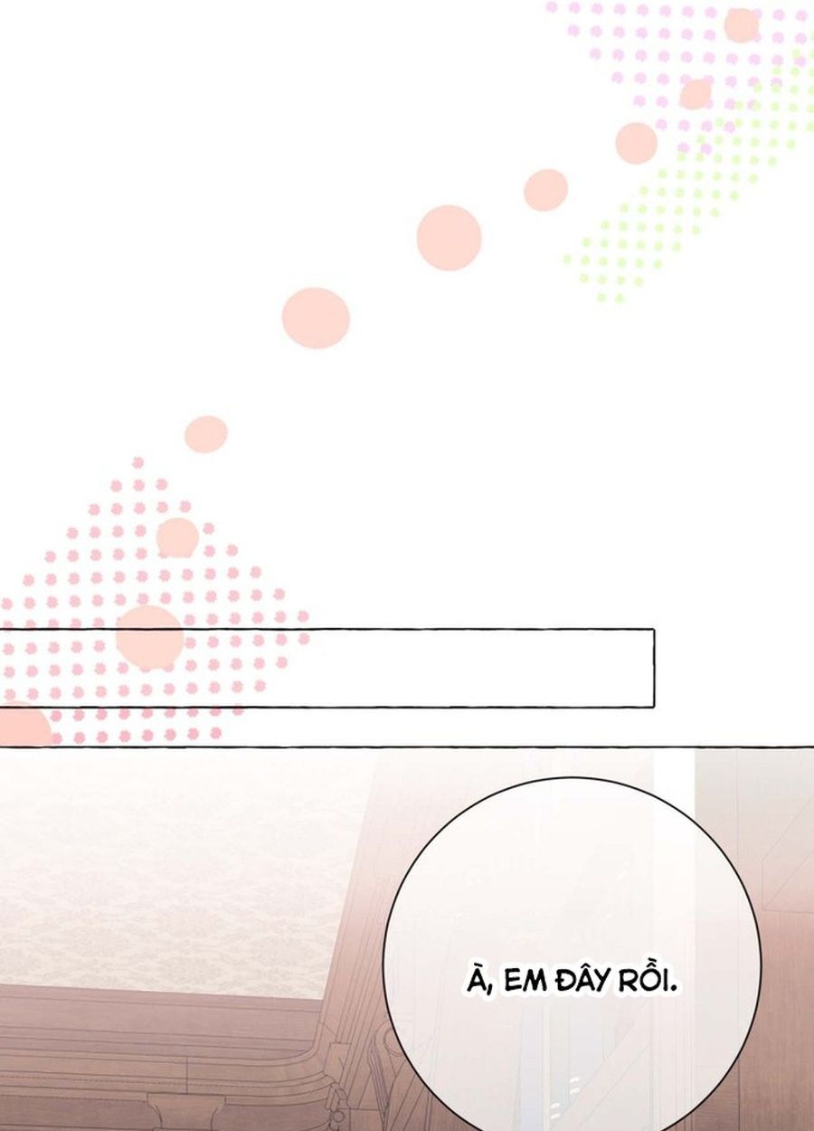 Không Phải Câu Chuyện Chuyển Sinh Thông Thường Chap 48 - Next Chap 47