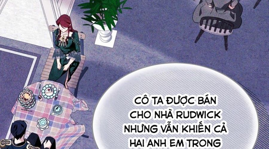 Không Phải Câu Chuyện Chuyển Sinh Thông Thường Chap 49 - Next Chap 48