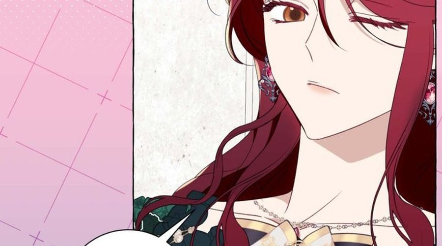 Không Phải Câu Chuyện Chuyển Sinh Thông Thường Chap 49 - Next Chap 48