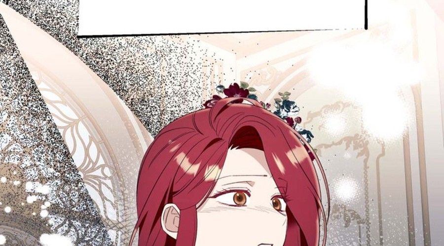 Không Phải Câu Chuyện Chuyển Sinh Thông Thường Chap 49 - Next Chap 48