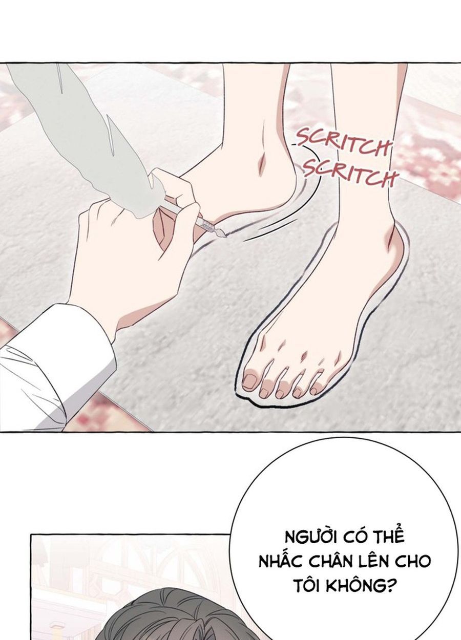 Không Phải Câu Chuyện Chuyển Sinh Thông Thường Chap 49 - Next Chap 48