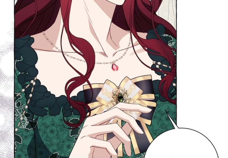 Không Phải Câu Chuyện Chuyển Sinh Thông Thường Chap 50 - Next Chap 49