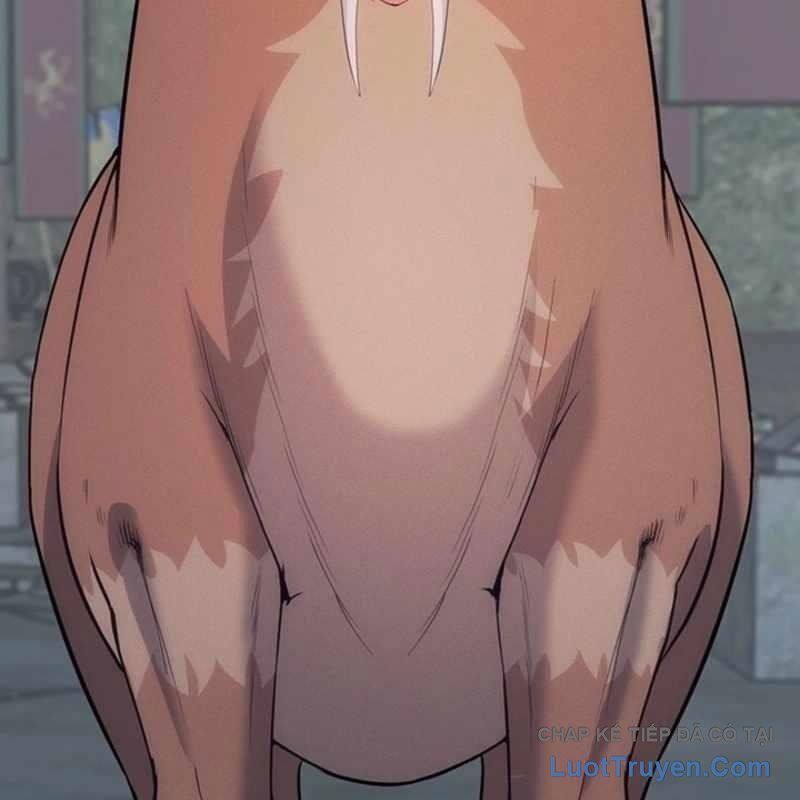 Thủ Hộ Thành Bằng Quái Vật Thuần Hóa Chap 13 - Next Chap 12