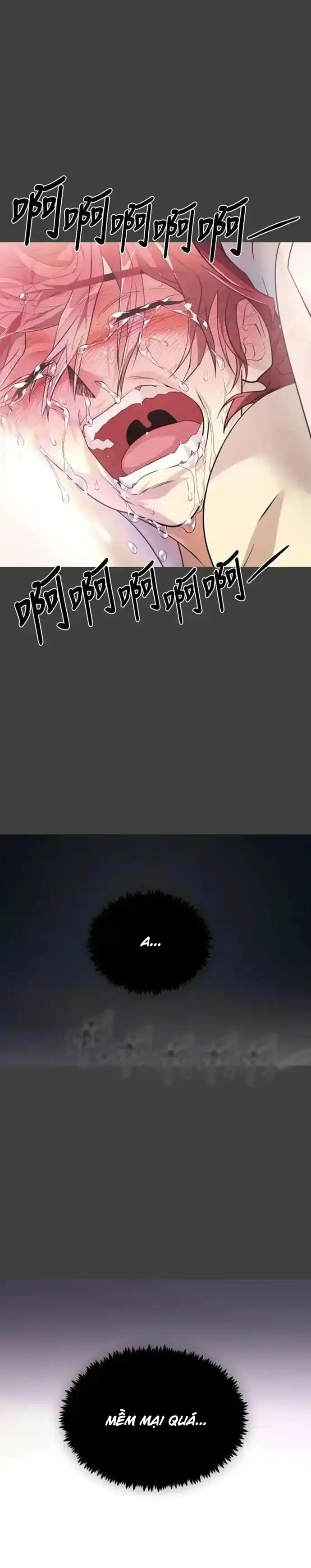 Minh Quân Tại Thượng Chap 27 - Next Chap 26