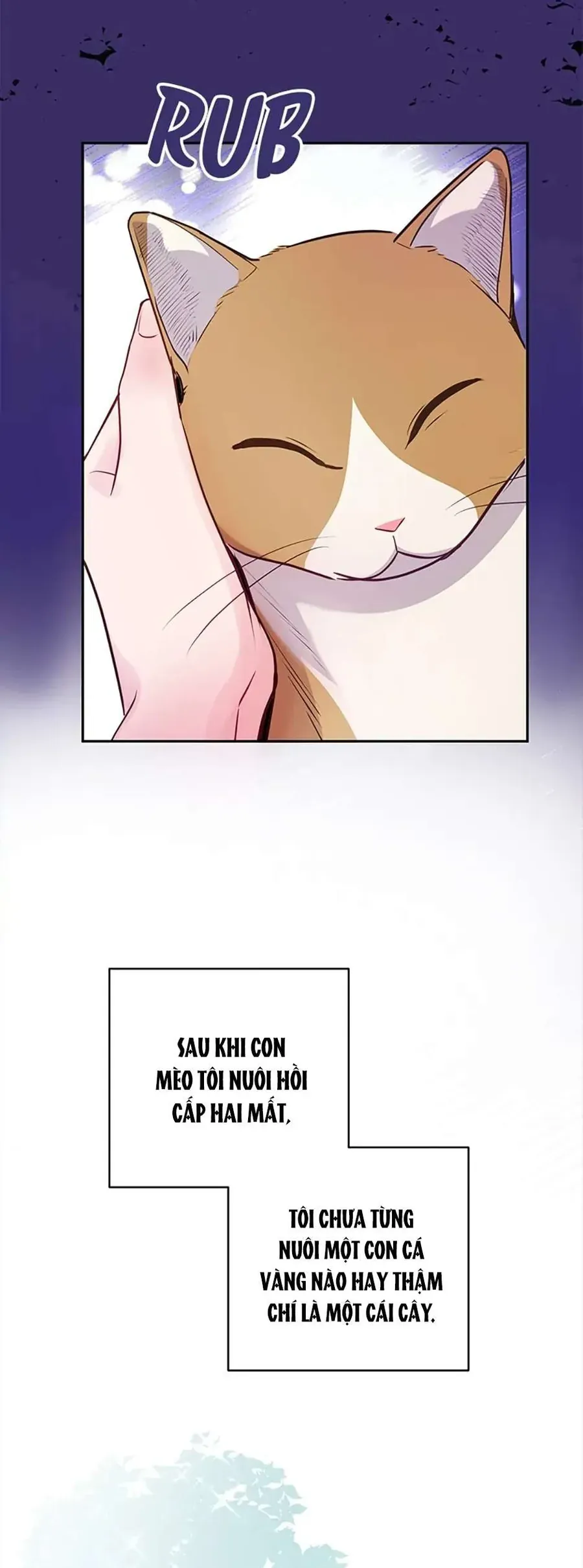 Lời Tỏ Tình Đáng Ngờ Chap 27 - Next Chap 26