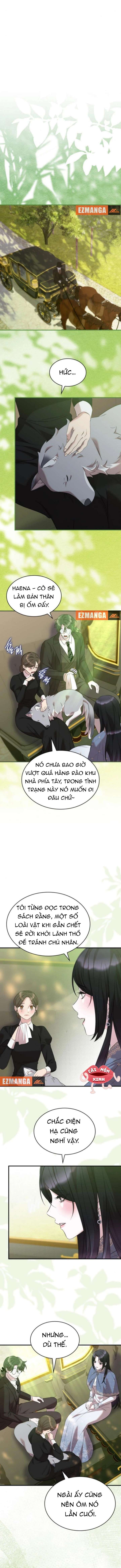 Vào Ngày Mà Chị Gái Tôi Qua Đời Chap 27 - Next Chap 26