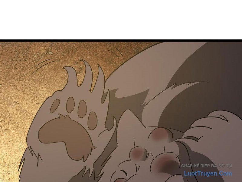 Phổ La Chi Chủ Chap 14 - Next Chap 13