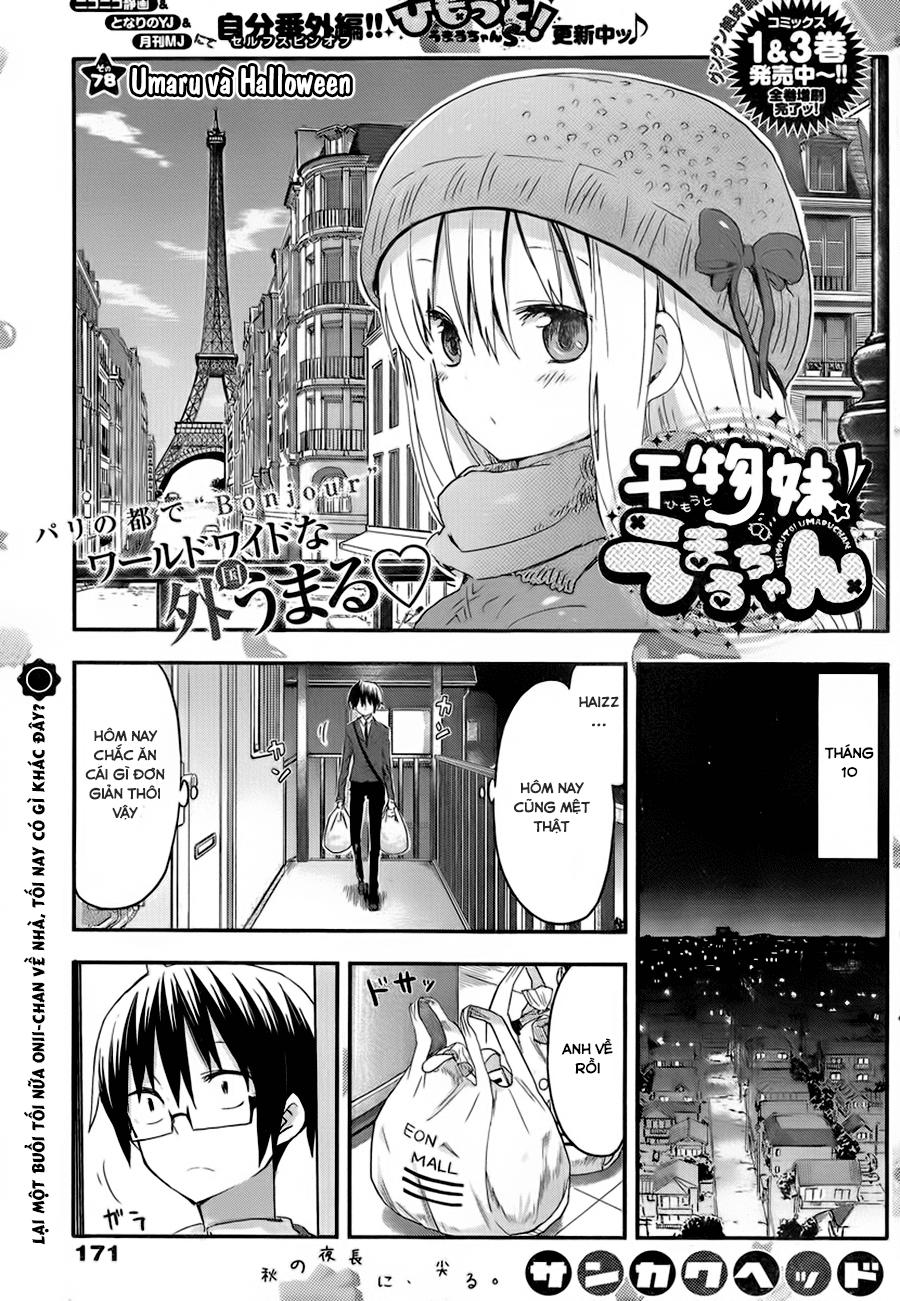 Himouto! Umaru-Chan Chap 78 - Next Chap 77