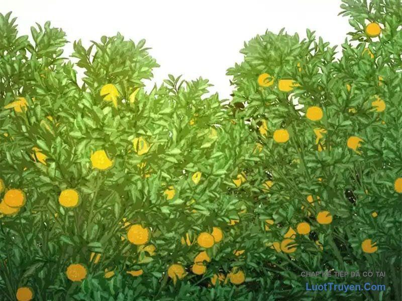 Ta Bán Hàng Vỉa Hè Ở Mạt Thế Chap 75 - Next Chap 74