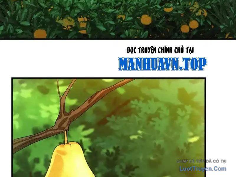 Ta Bán Hàng Vỉa Hè Ở Mạt Thế Chap 75 - Next Chap 74