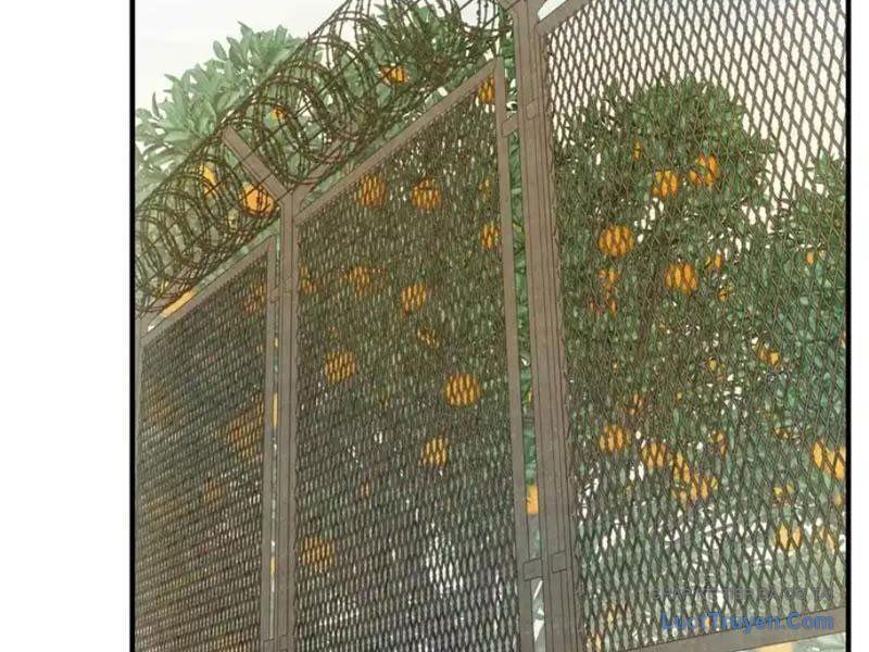 Ta Bán Hàng Vỉa Hè Ở Mạt Thế Chap 75 - Next Chap 74