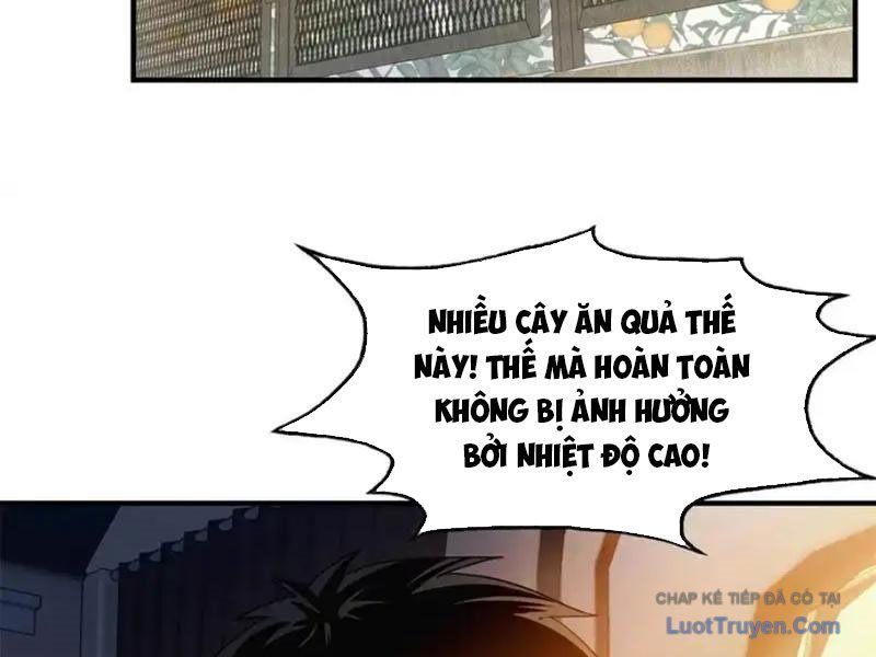 Ta Bán Hàng Vỉa Hè Ở Mạt Thế Chap 75 - Next Chap 74