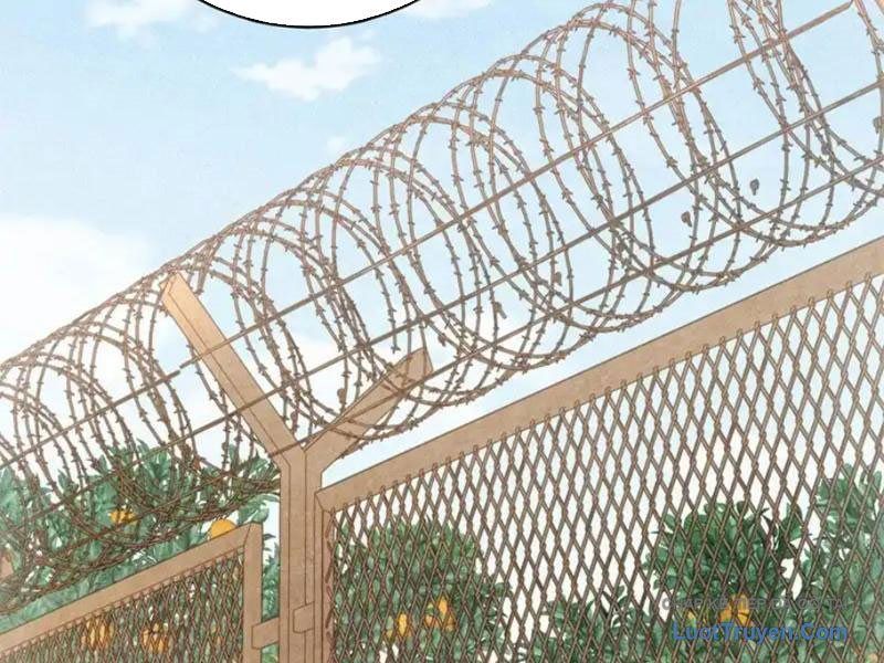 Ta Bán Hàng Vỉa Hè Ở Mạt Thế Chap 75 - Next Chap 74