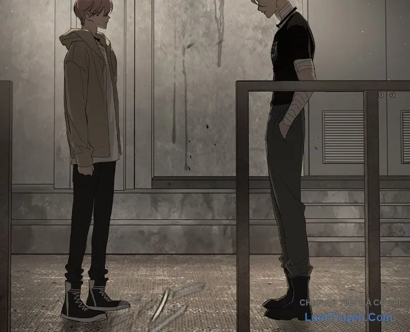 Ác Chi Hoàn Chap 73 - Next Chap 72