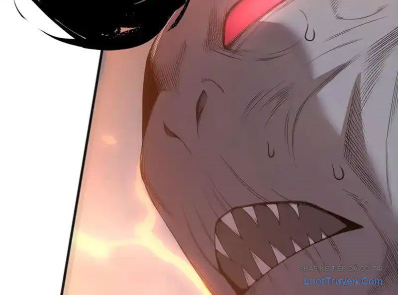 Thảm Họa Tử Linh Sư Chap 231 - Next Chap 230